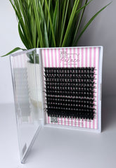 Clusters Lashes